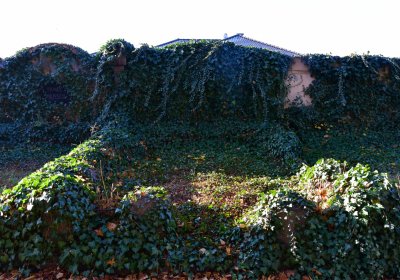 Žatec městský, Omnium, 2020