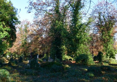 Žatec městský, Omnium, 2020