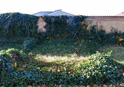 Žatec městský, Omnium, 2020