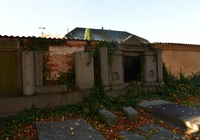 Žatec městský, Omnium, 2020