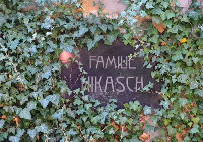 Žatec městský, Omnium, 2020