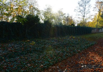 Žatec městský, Omnium, 2020