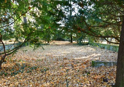 Žatec městský, Omnium, 2020