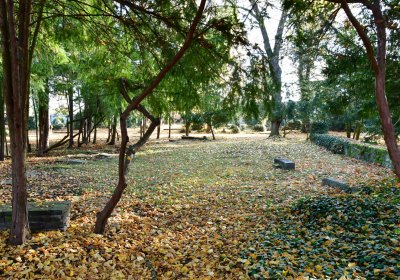 Žatec městský, Omnium, 2020