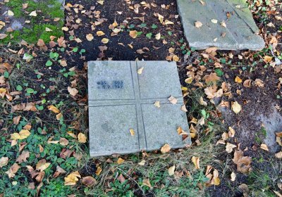 Žatec městský, Omnium, 2020