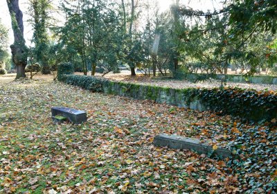 Žatec městský, Omnium, 2020