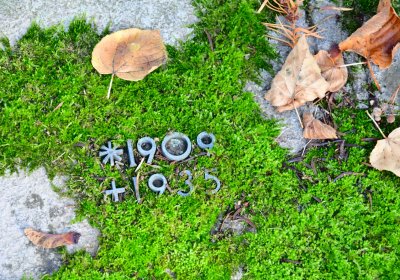 Žatec městský, Omnium, 2020