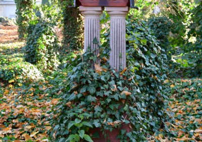 Žatec městský, Omnium, 2020