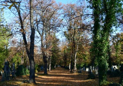 Žatec městský, Omnium, 2020