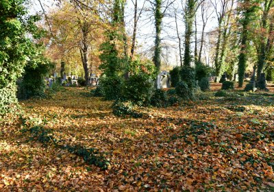 Žatec městský, Omnium, 2020