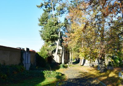 Žatec městský, Omnium, 2020