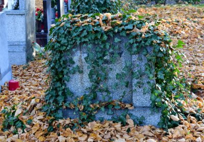 Žatec městský, Omnium, 2020