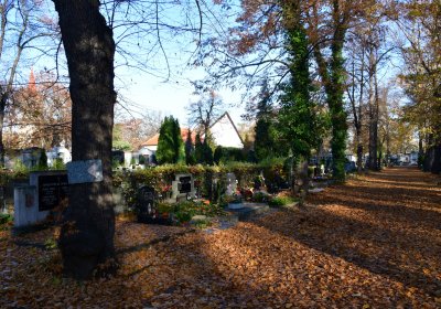 Žatec městský, Omnium, 2020