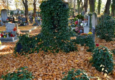 Žatec městský, Omnium, 2020