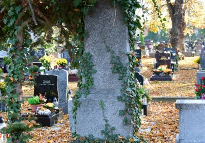 Žatec městský, Omnium, 2020