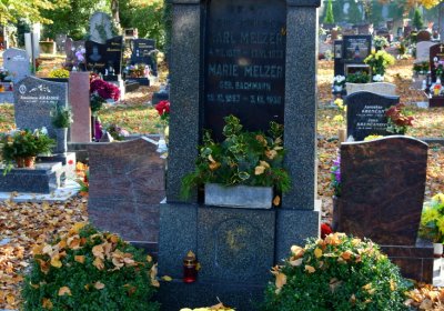 Žatec městský, Omnium, 2020