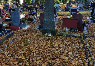 Žatec městský, Omnium, 2020