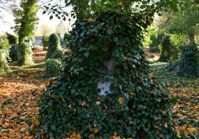 Žatec městský, Omnium, 2020