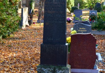 Žatec městský, Omnium, 2020