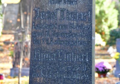 Žatec městský, Omnium, 2020