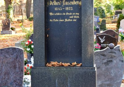 Žatec městský, Omnium, 2020