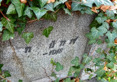 Žatec městský, Omnium, 2020