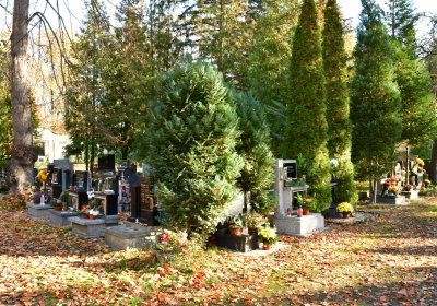 Žatec městský, Omnium, 2020