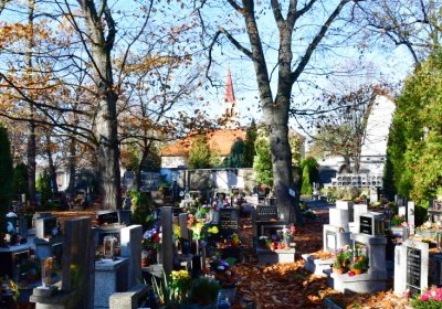 Žatec městský, Omnium, 2020