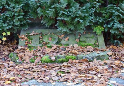 Žatec městský, Omnium, 2020