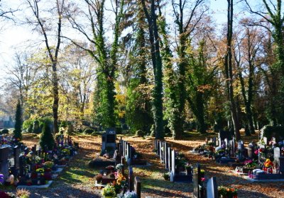 Žatec městský, Omnium, 2020