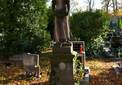 Žatec městský, Omnium, 2020