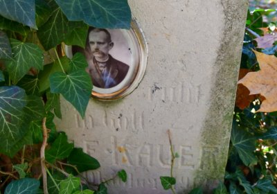 Žatec městský, Omnium, 2020