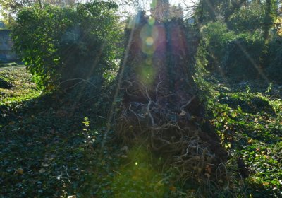 Žatec městský, Omnium, 2020