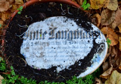 Žatec městský, Omnium, 2020