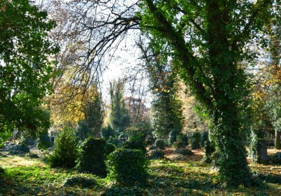 Žatec městský, Omnium, 2020