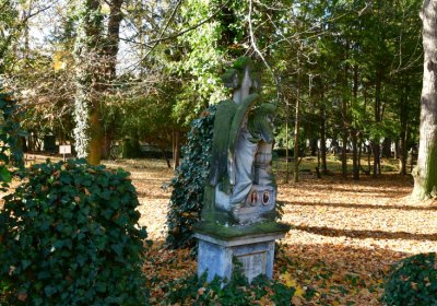 Žatec městský, Omnium, 2020