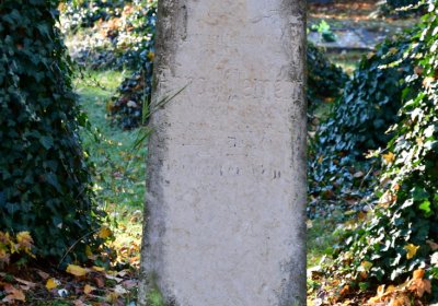 Žatec městský, Omnium, 2020