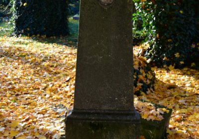 Žatec městský, Omnium, 2020