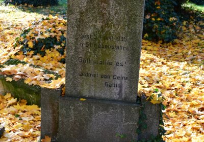 Žatec městský, Omnium, 2020