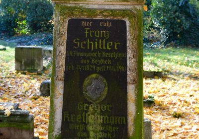 Žatec městský, Omnium, 2020