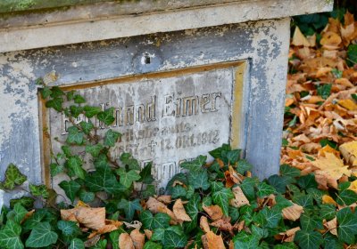 Žatec městský, Omnium, 2020