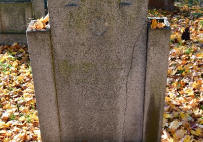 Žatec městský, Omnium, 2020