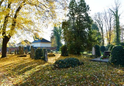 Žatec městský, Omnium, 2020