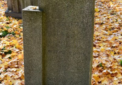 Žatec městský, Omnium, 2020