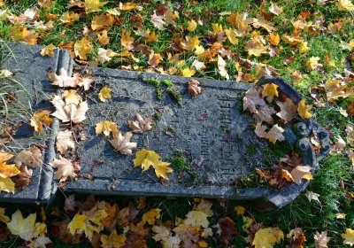 Žatec městský, Omnium, 2020