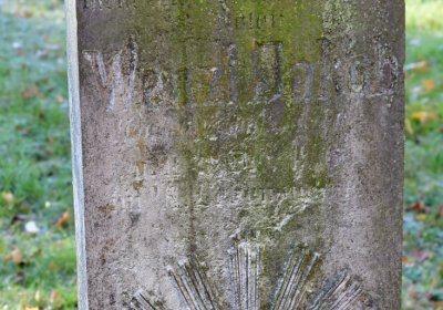 Žatec městský, Omnium, 2020