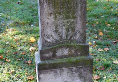 Žatec městský, Omnium, 2020