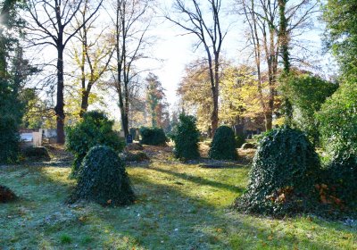 Žatec městský, Omnium, 2020