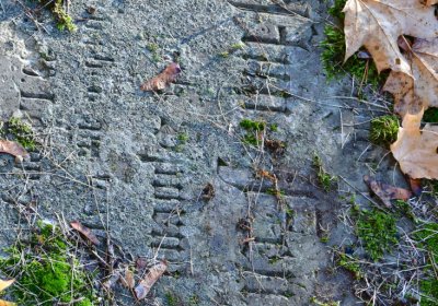 Žatec městský, Omnium, 2020