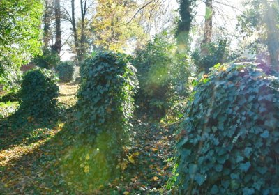 Žatec městský, Omnium, 2020